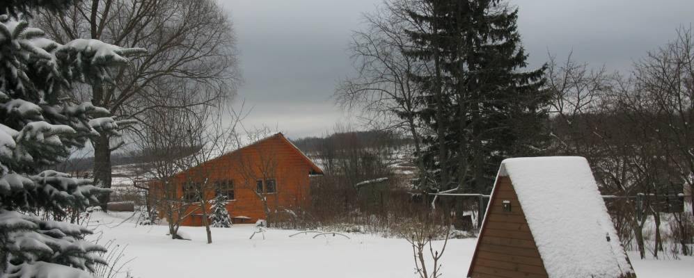 
            Фотография Головино