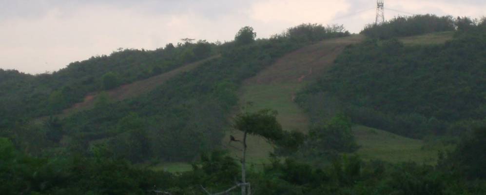 
            Фотография Шама Джанкшна