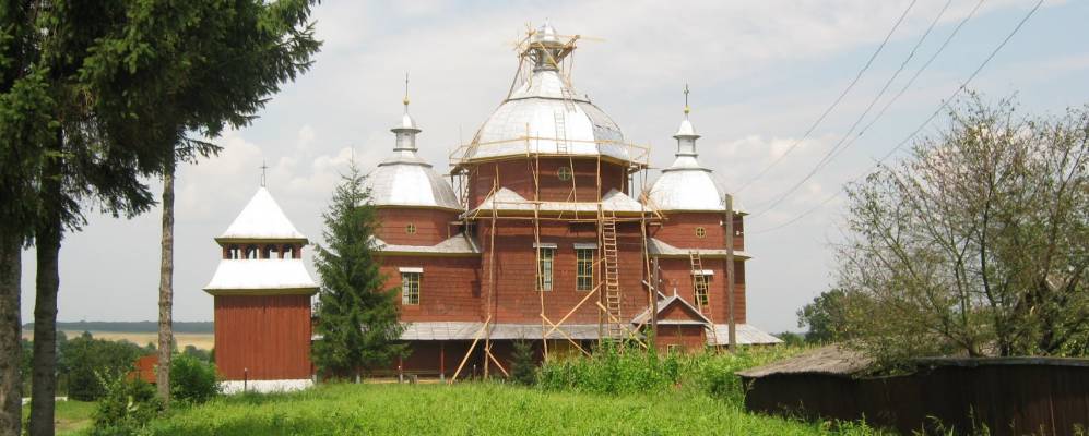 
            Фотография Леска