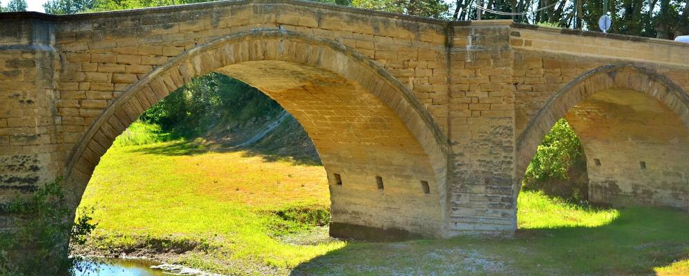 
            Фотография Бедаррид