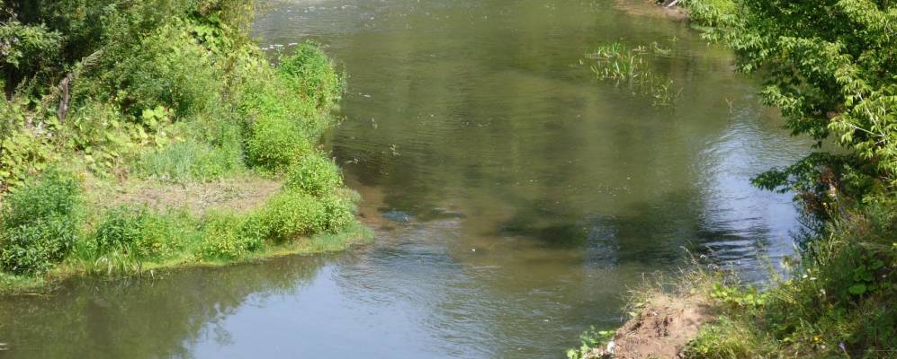 Фотография Зверево-Бакулино