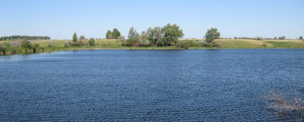 
            Фотография Сосенки