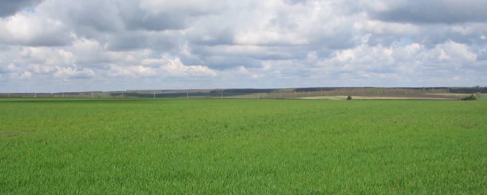 
            Фотография Казеево