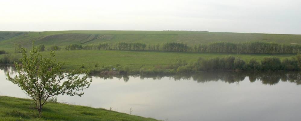 
            Фотография Парничного