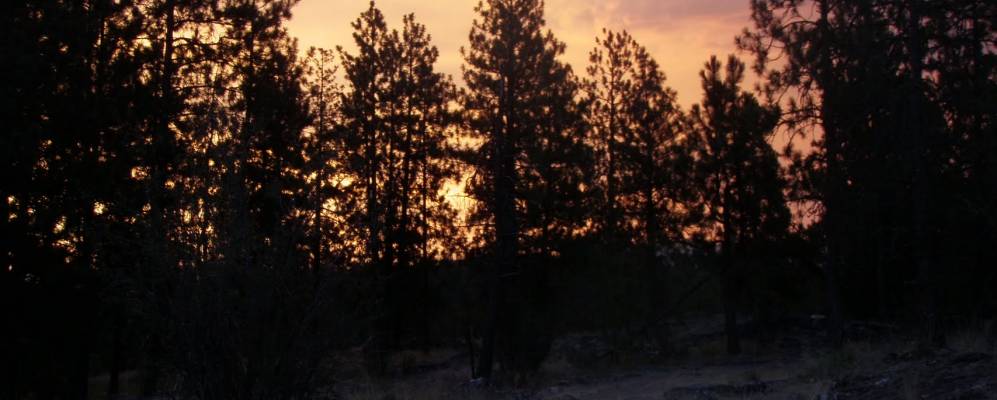 
            Фотография Дишмана