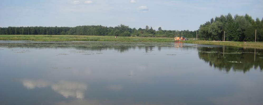 Фотография деревни Олешевичи