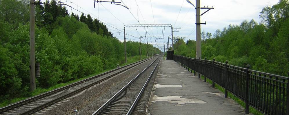 
            Фотография Пурово