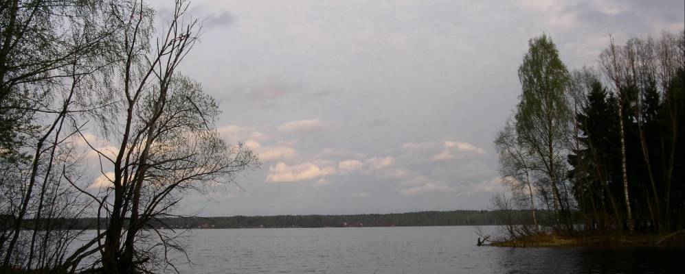 
            Фотография Подберезы