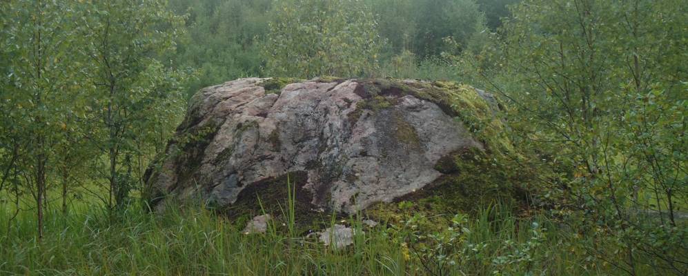 
            Фотография поселка Выселки Жуковский