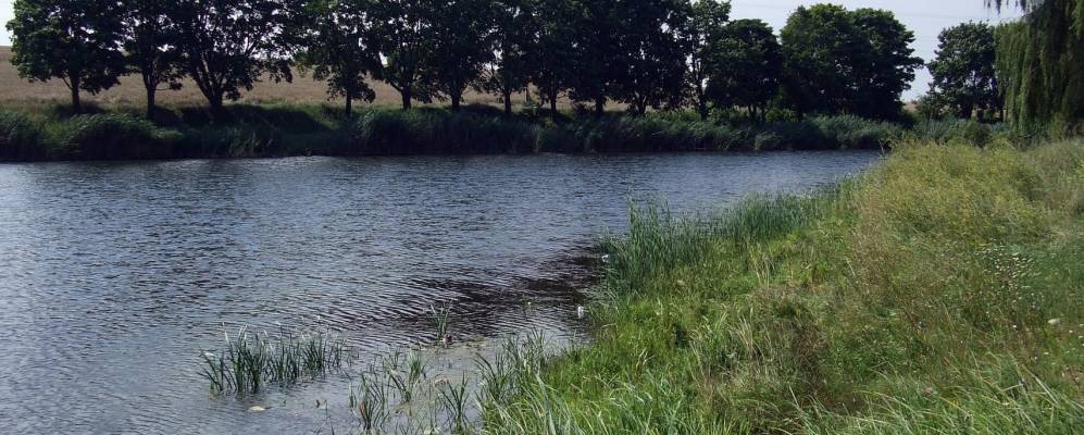 
            Фотография Квасилова