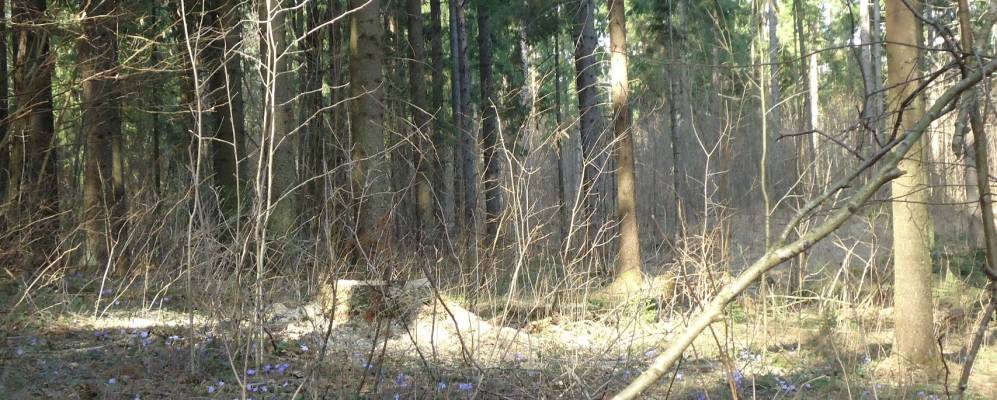 Фотография Бельков