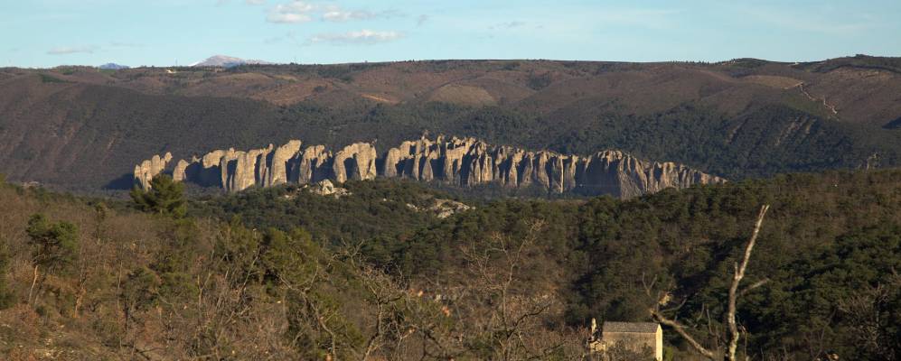 
            Фотография Ожа