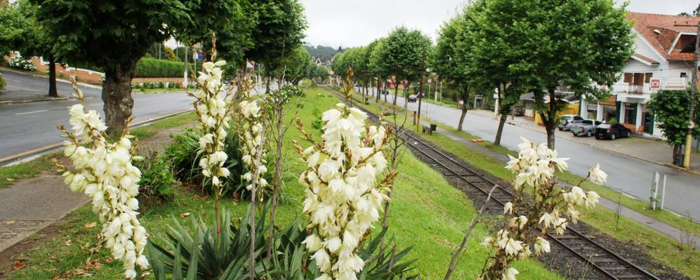 
            Фотография Кампус-ду-Жордан