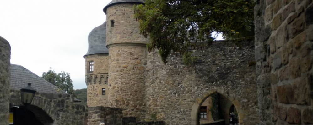 
            Фотография Таллихтенберга