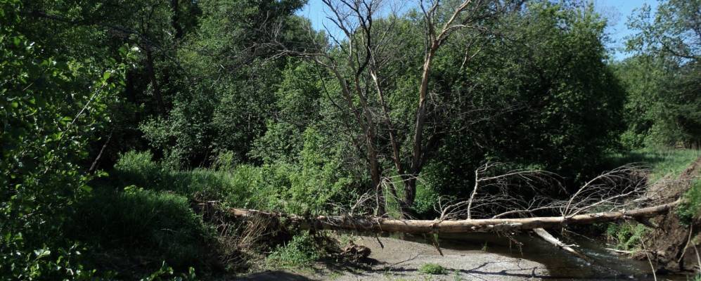 
            Фотография Юмагузино Второго