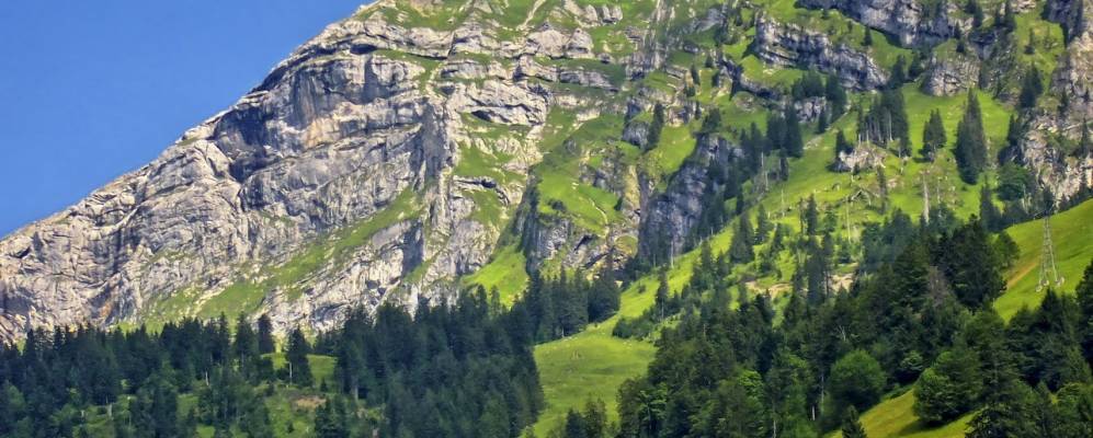 
            Фотография Мелштальа