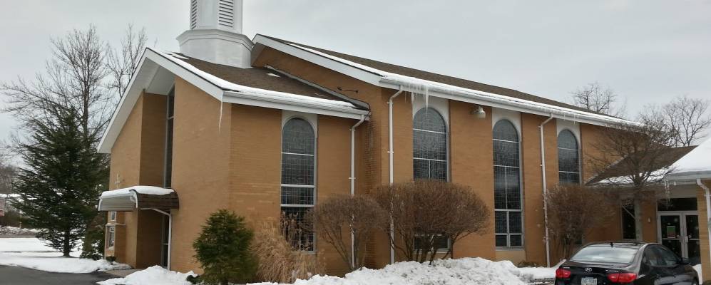 
            Фотография Элима