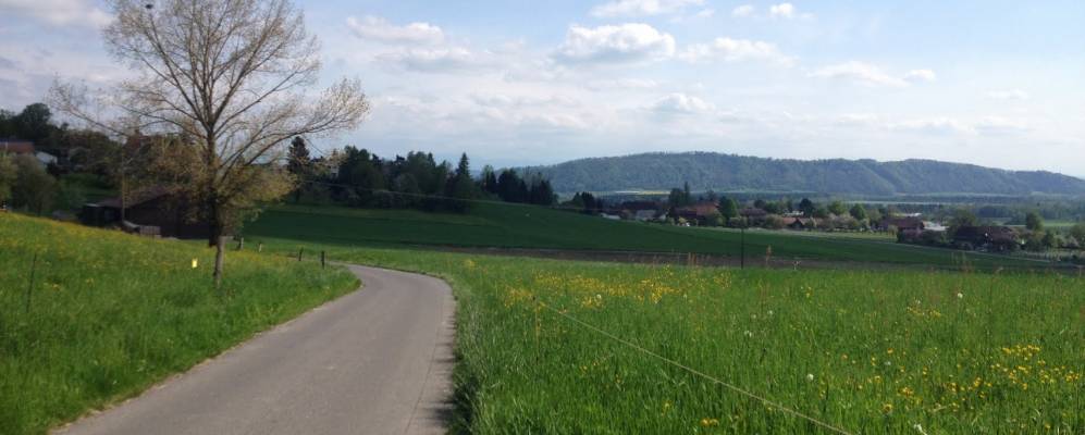 
            Фотография Инса