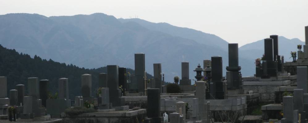 
            Фотография Отиая