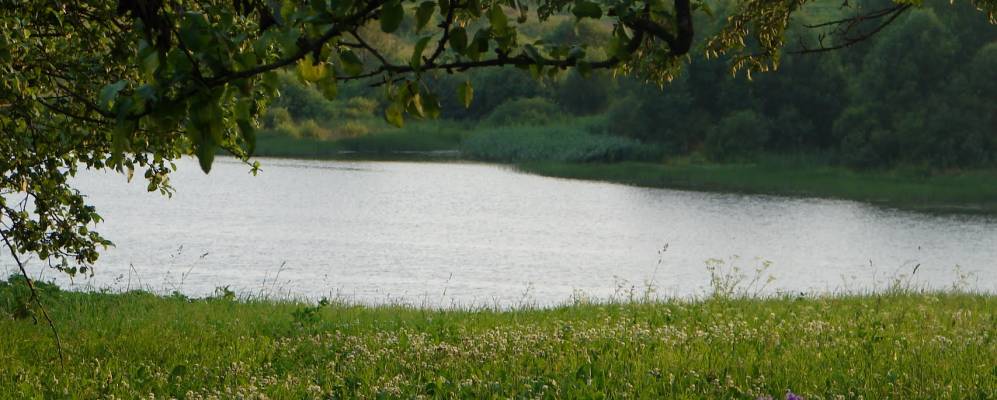 
            Фотография деревни Орлы