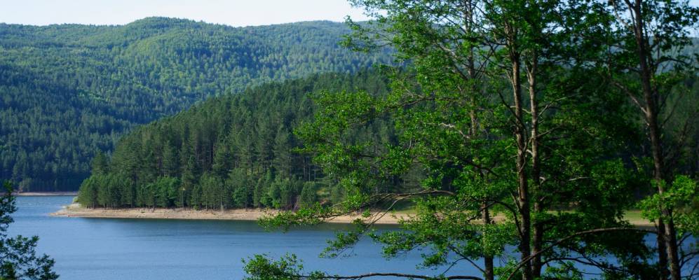 
            Фотография Лорики