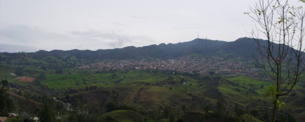 
            Фотография Ярумаль