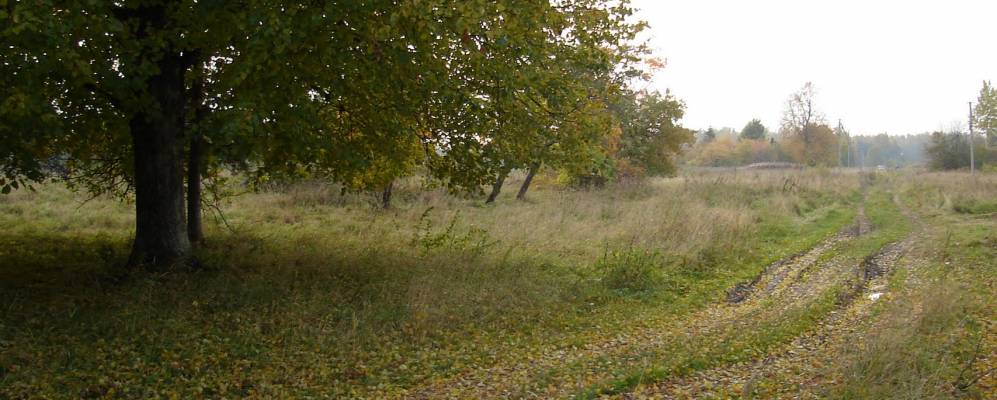 
            Фотография Дехино