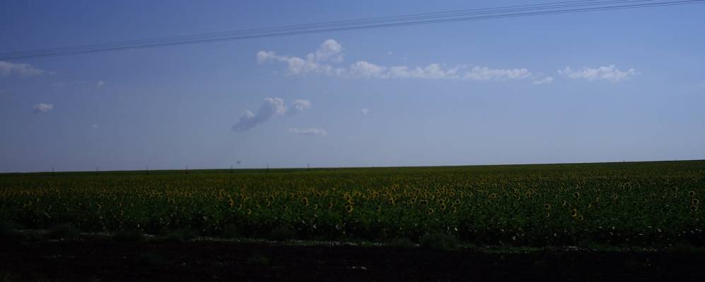 
            Фотография Калинино