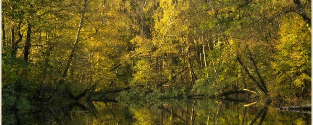 
            Фотография Петрово