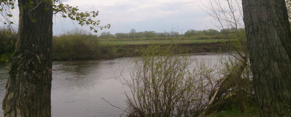 
            Фотография Ташказгана