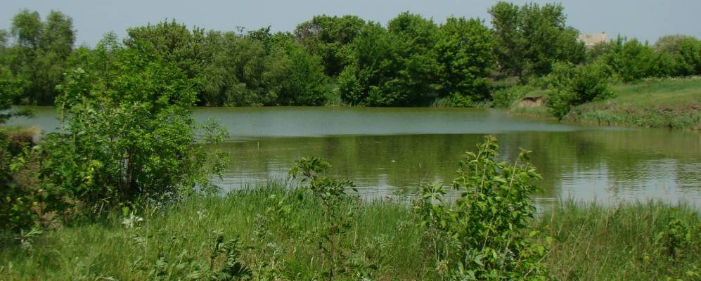 
            Фотография Старолозоватки