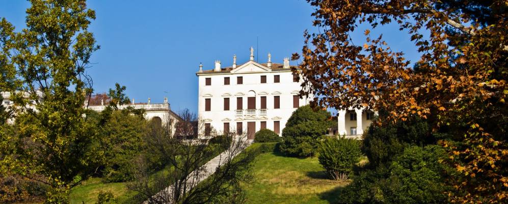 
            Фотография Муссоленте