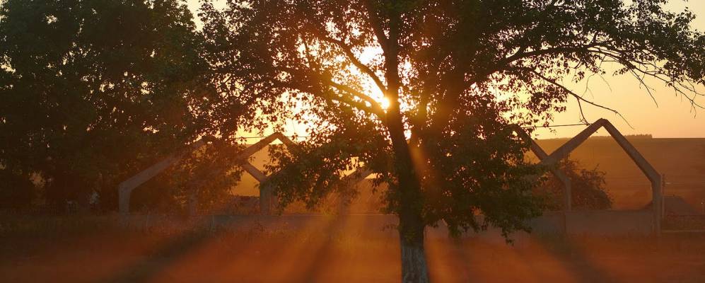 
            Фотография Мордовского Каратая