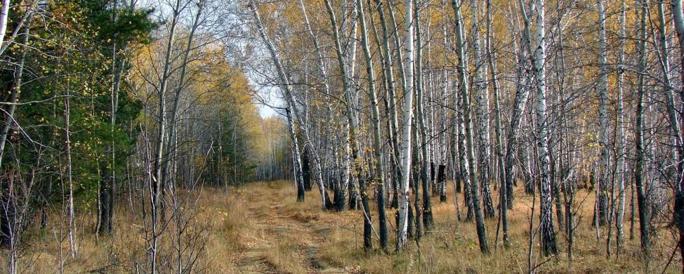 
            Фотография Алексеевки