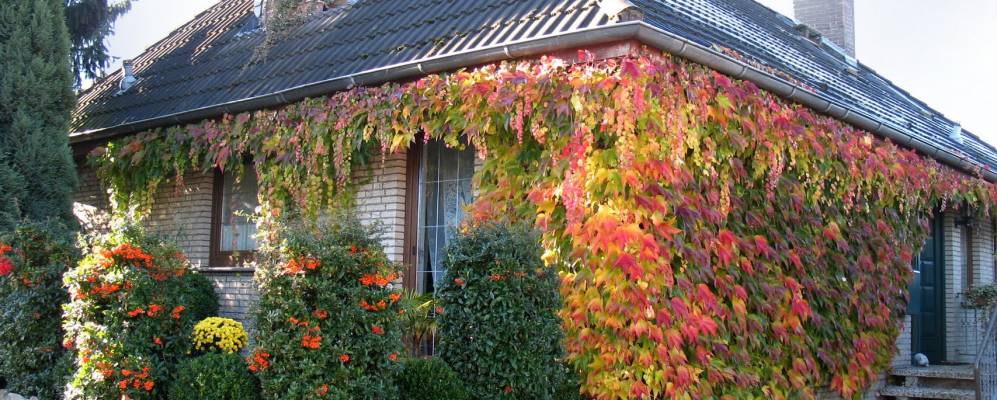 
            Фотография Нинернворена