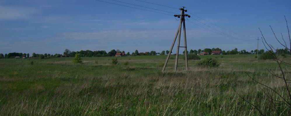 
            Фотография Грибоедово