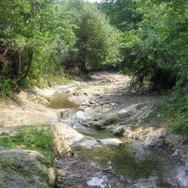 Пьятра-Нямц