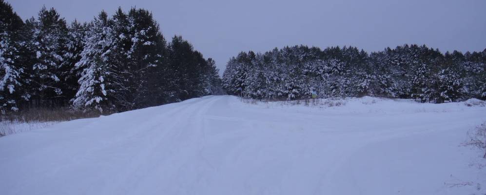 
            Фотография Костылевы