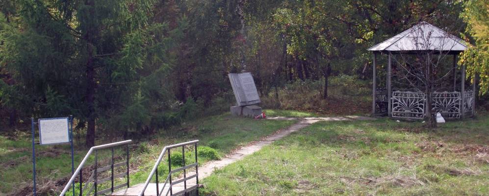 
            Фотография Толстовского