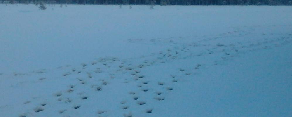 
            Фотография Клюшово