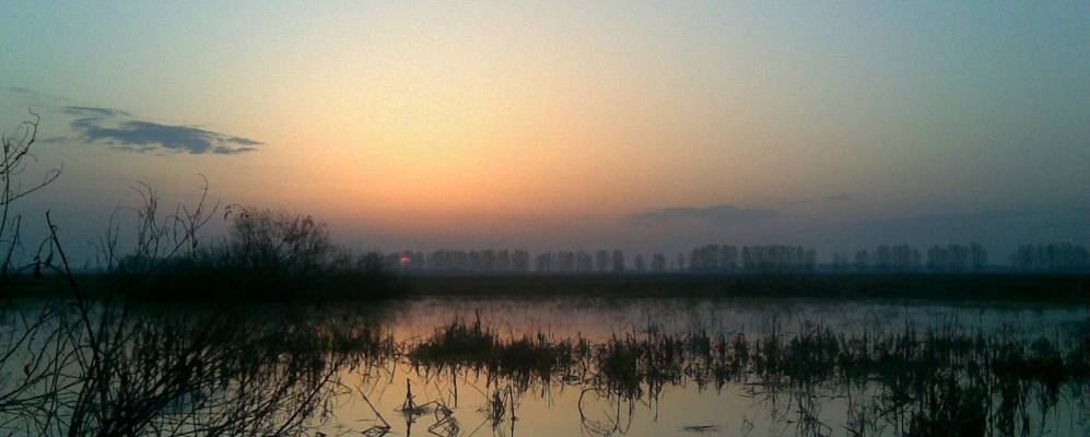 
            Фотография Ржавца