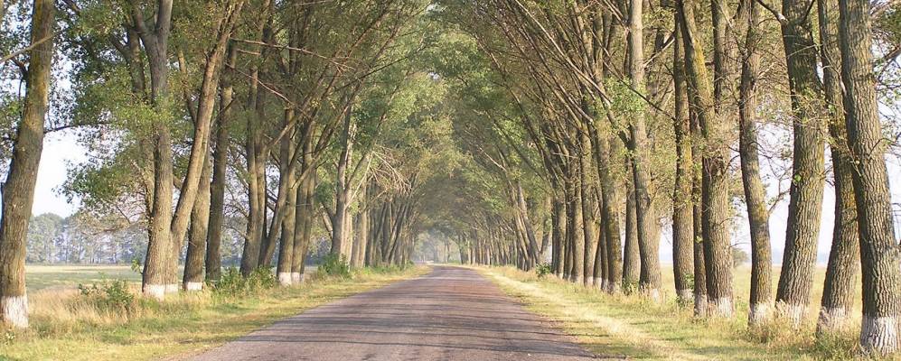 
            Фотография Погребца