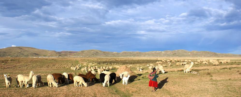 
            Фотография Илаве