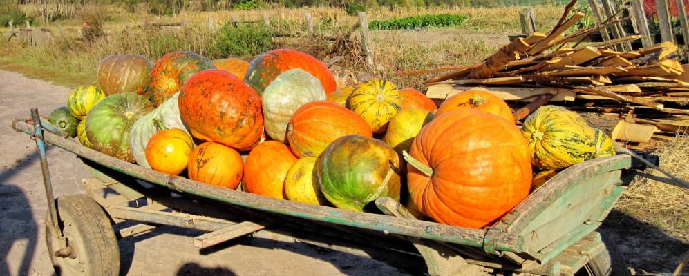 
            Фотография Дмитровки