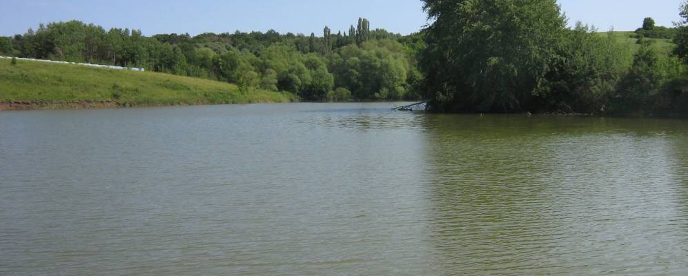 
            Фотография Солонцов