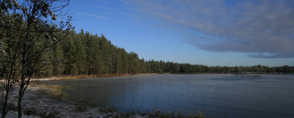 
            Фотография Луга