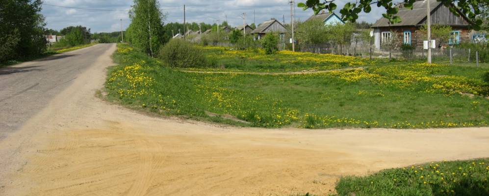 
            Фотография Гриднево