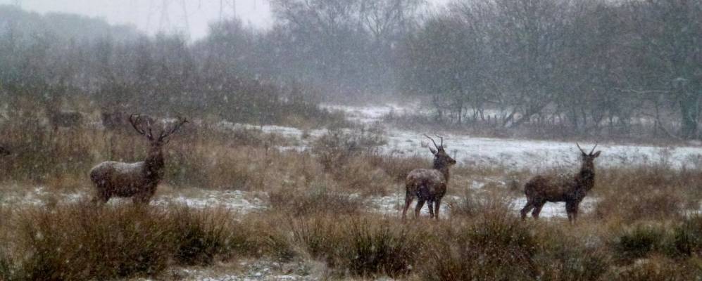 
            Фотография Нортон Кэйнса