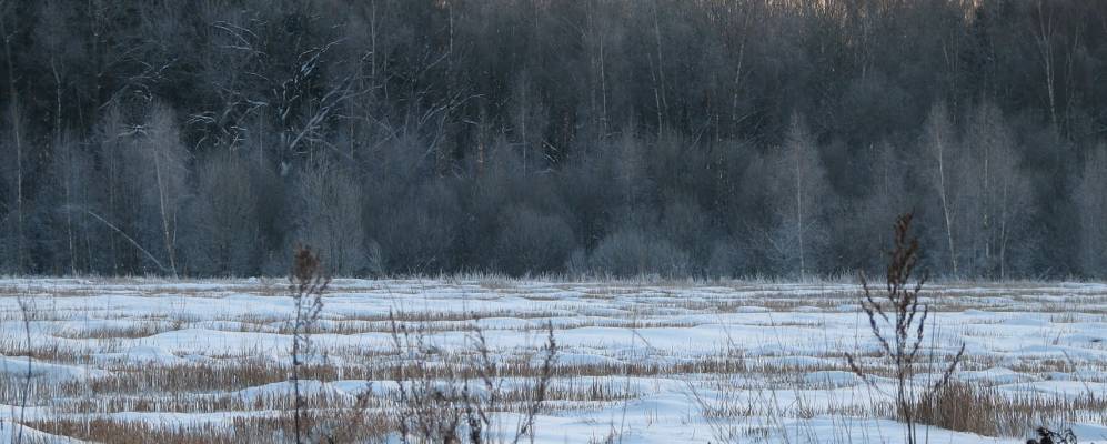 
            Фотография Жулёво