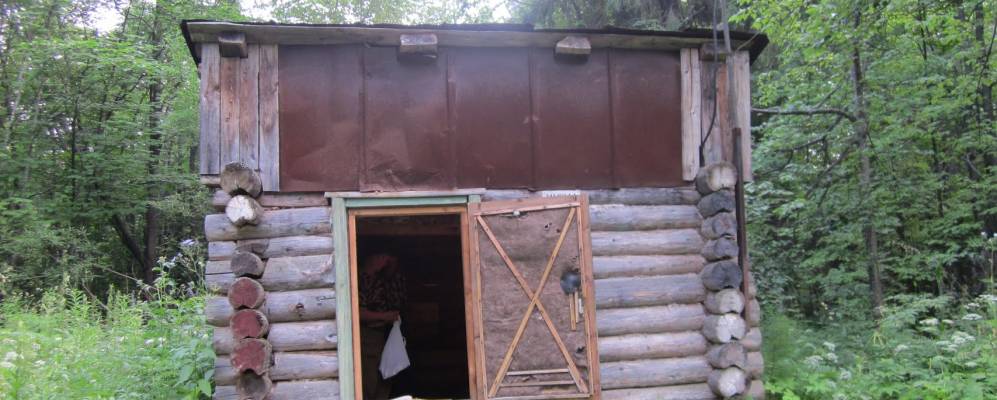 
            Фотография Дивьи